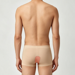 Intima posterior